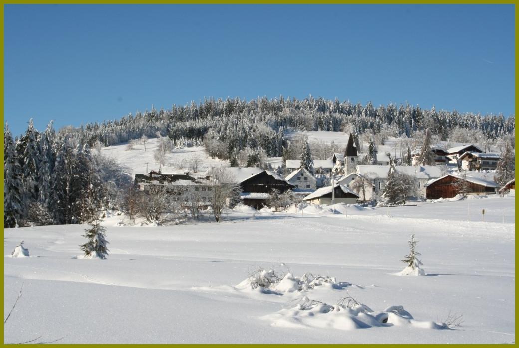 Pension Philippsreut "Zum Pfenniggeiger" Am Goldsteigwanderweg Ngoại thất bức ảnh